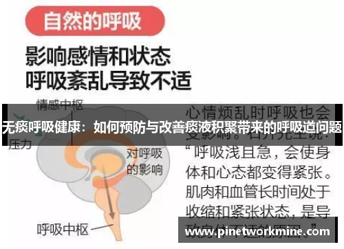 无痰呼吸健康:如何预防与改善痰液积聚带来的呼吸道问题 无痰呼吸健康:如何预防与改善痰液积聚带来的呼吸道问题