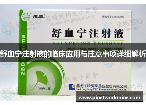 舒血宁注射液的临床应用与注意事项详细解析 舒血宁注射液的临床应用与注意事项详细解析