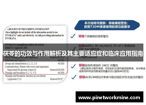 茯苓的功效与作用解析及其主要适应症和临床应用指南 茯苓的功效与作用解析及其主要适应症和临床应用指南