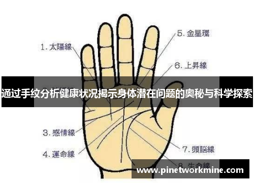通过手纹分析健康状况揭示身体潜在问题的奥秘与科学探索
