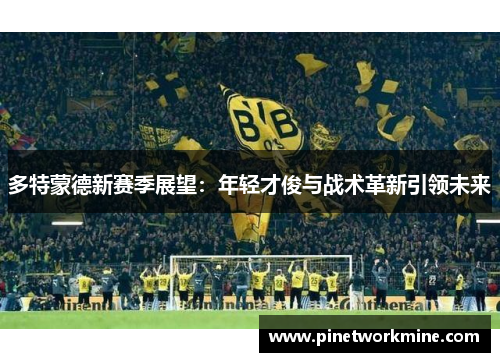 多特蒙德新赛季展望:年轻才俊与战术革新引领未来 多特蒙德新赛季展望:年轻才俊与战术革新引领未来